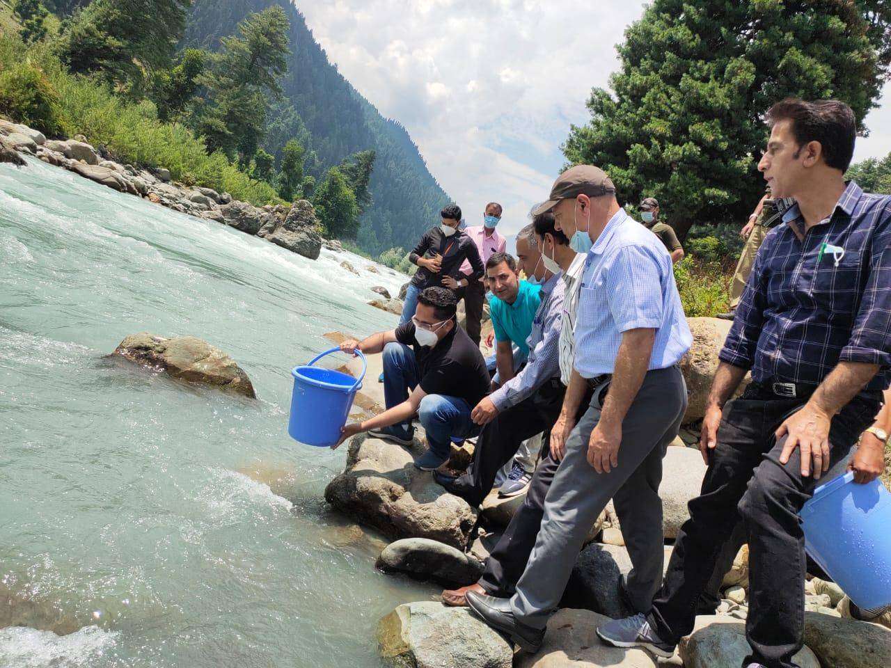 Trout in anantnag