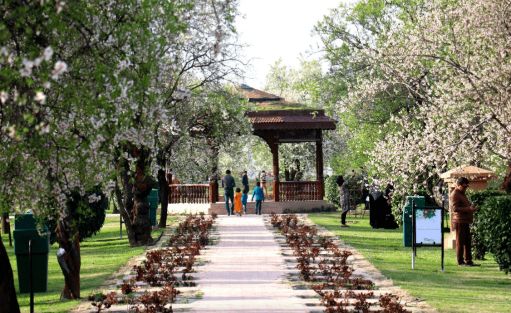 badamwari