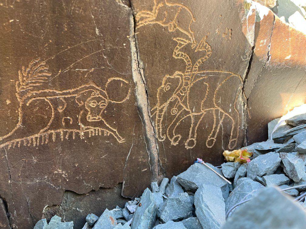 Experts document ancient rock carvings in Ladakh dating to 2000 BC