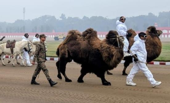 Ladakh’s double hump camels to lead Indian Army’s RVC contingent on Republic Day Parade at Delhi; Zanskar Ponies also find place