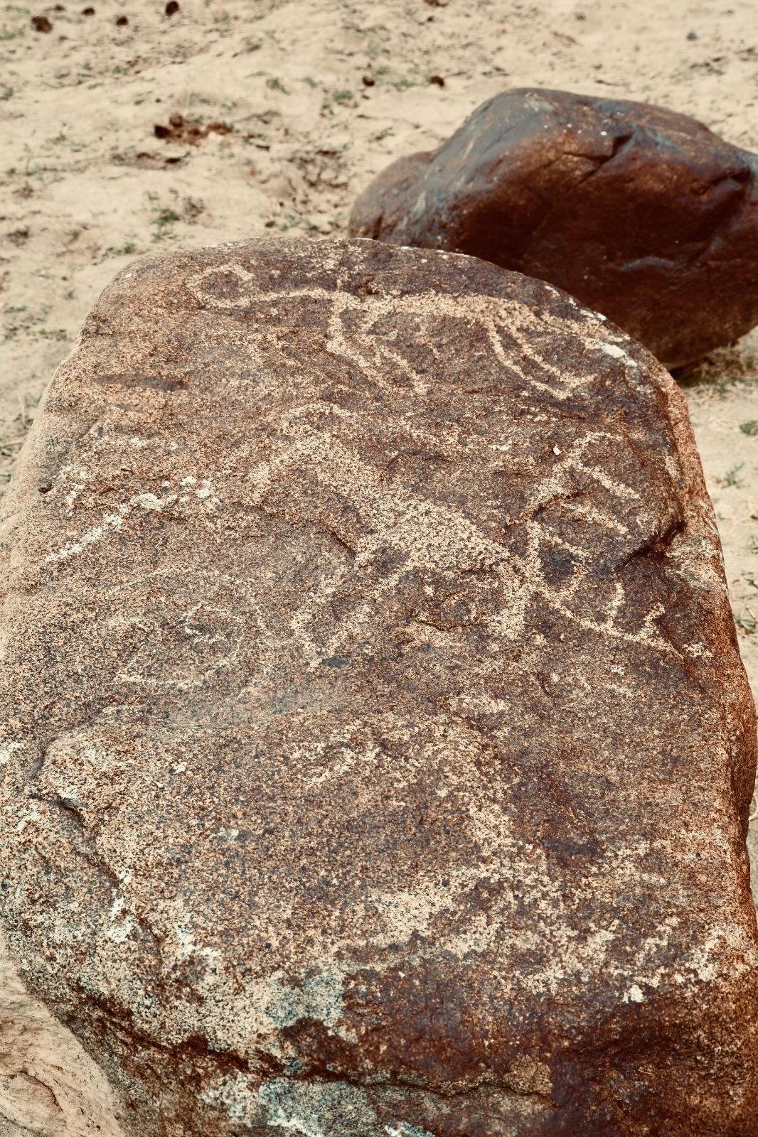 Ladakh’s ancient petroglyphs find new home at Sindhu Ghat