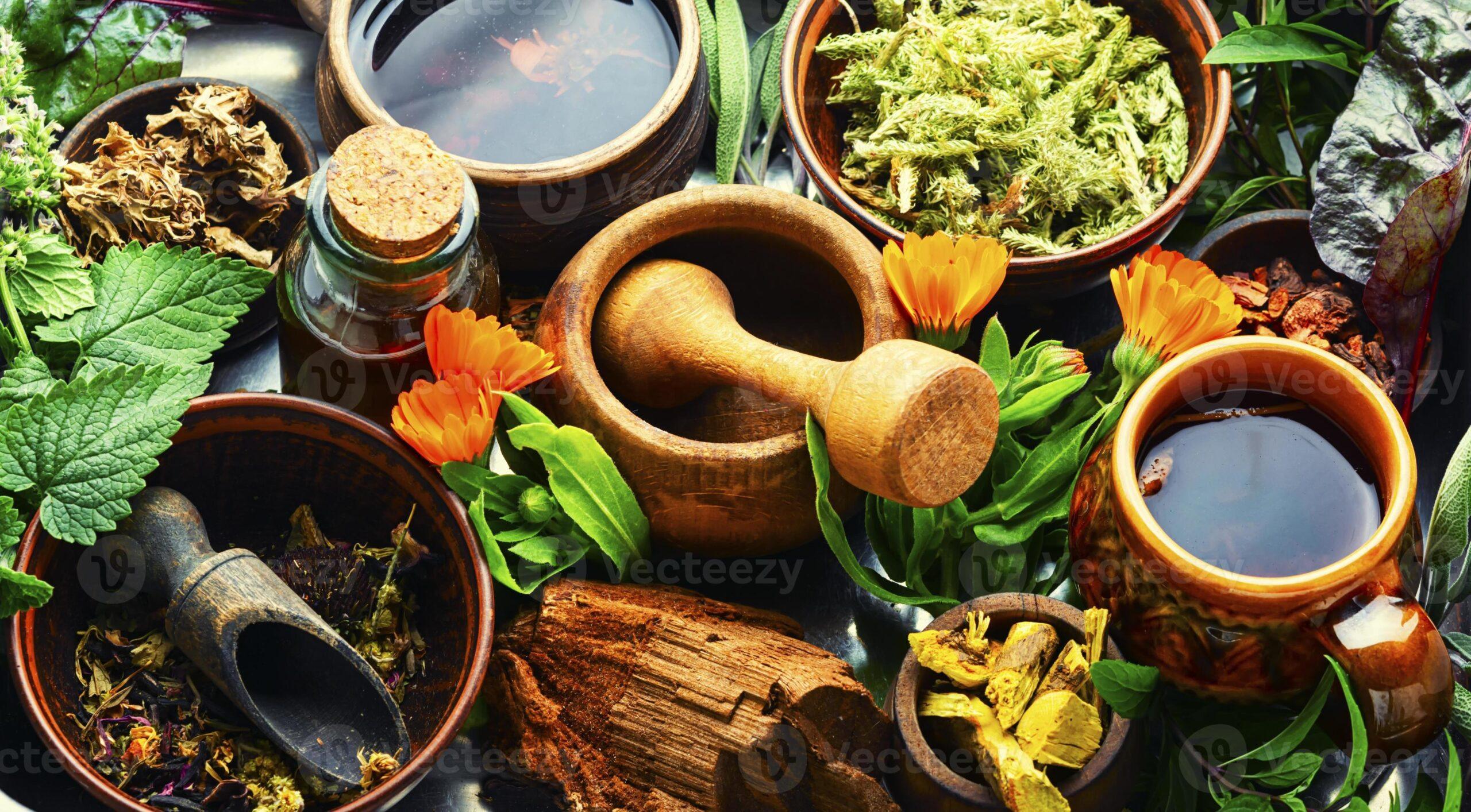 J&K unveils Rs 150 crore roadmap to become Himalayan medicinal plants hub