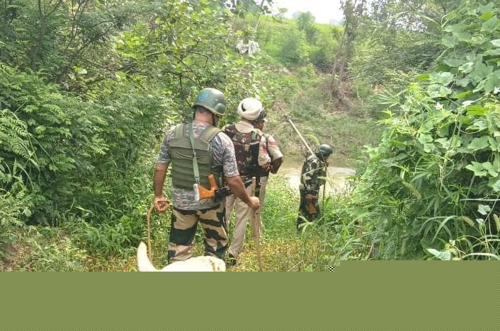 Two landmines defused by Army in Mendhar sector
